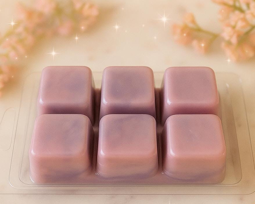 Sugar Spice Fairy Gourmet Wax Melts – Sweet Magical Fragrance | Cocco Rose